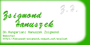 zsigmond hanuszek business card
